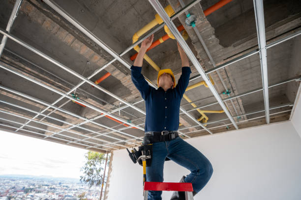 Best Plumbing Inspection Services  in Normal, IL