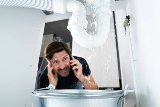 Best Residential Plumbing Services  in Normal, IL