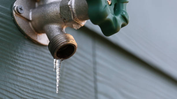 Best Leak Detection Services  in Normal, IL